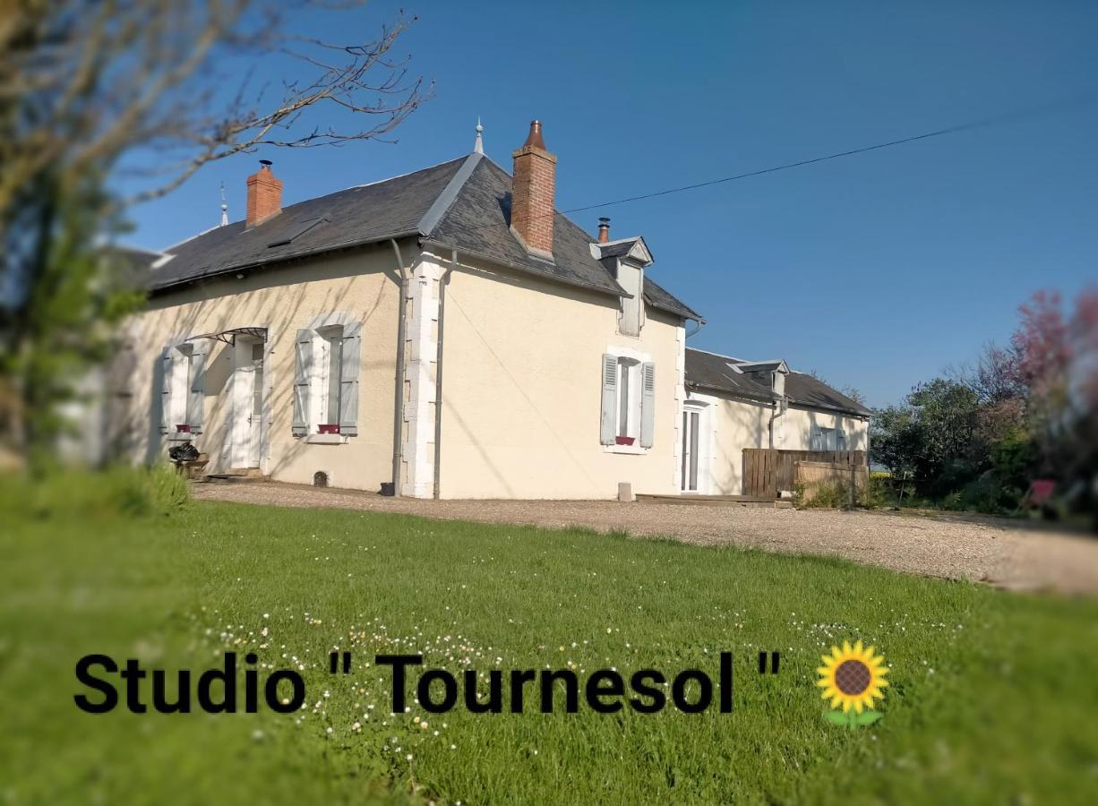 Tournesol  Au Coeur Du Berry * Les Bordes (Indre)